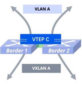 Border共享VTEP方式   