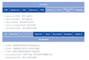 图12：INT头部报文格式