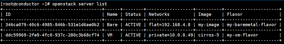  openstack server list