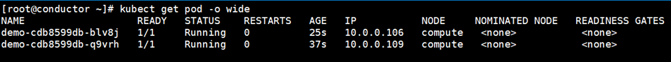 kubectl get pod -o wide 