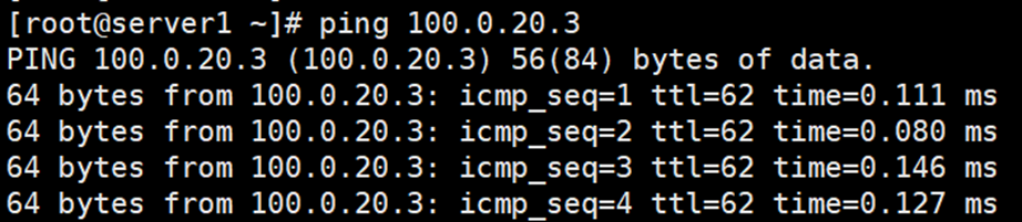 ping 100.0.20.3