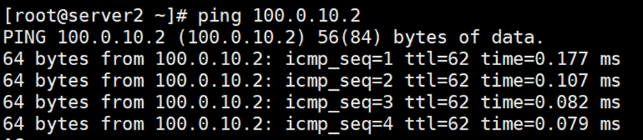 ping 100.0.10.2