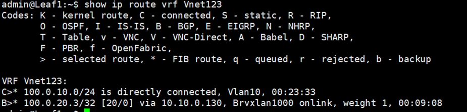 show ip route vrf Vnet123