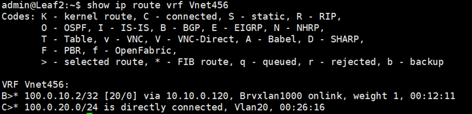 show ip route vrf Vnet123