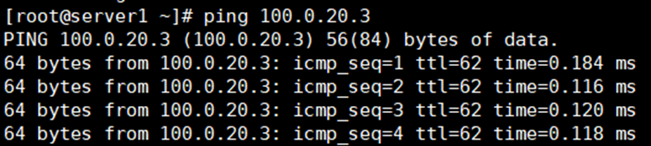 ping 100.0.20.3