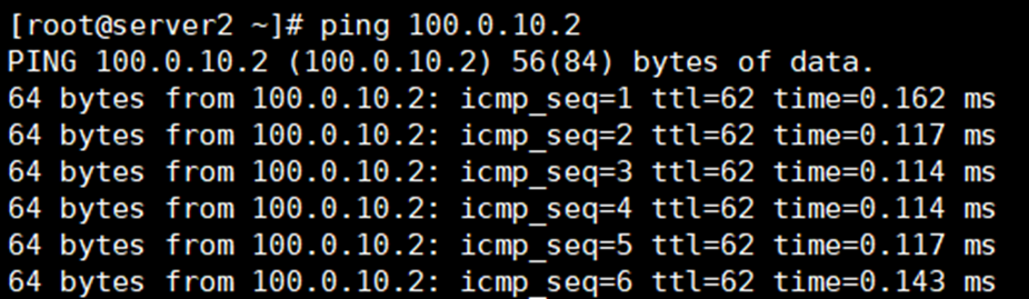  ping 100.0.10.2