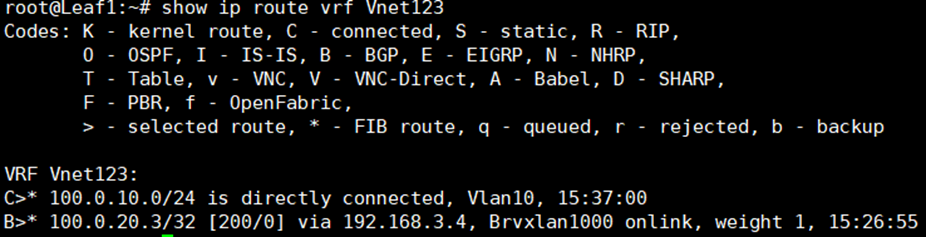 show ip route vrf Vnet123