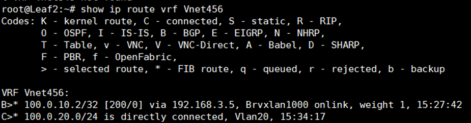 show ip route vrf Vnet456