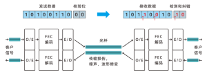 图3：FEC工作原理