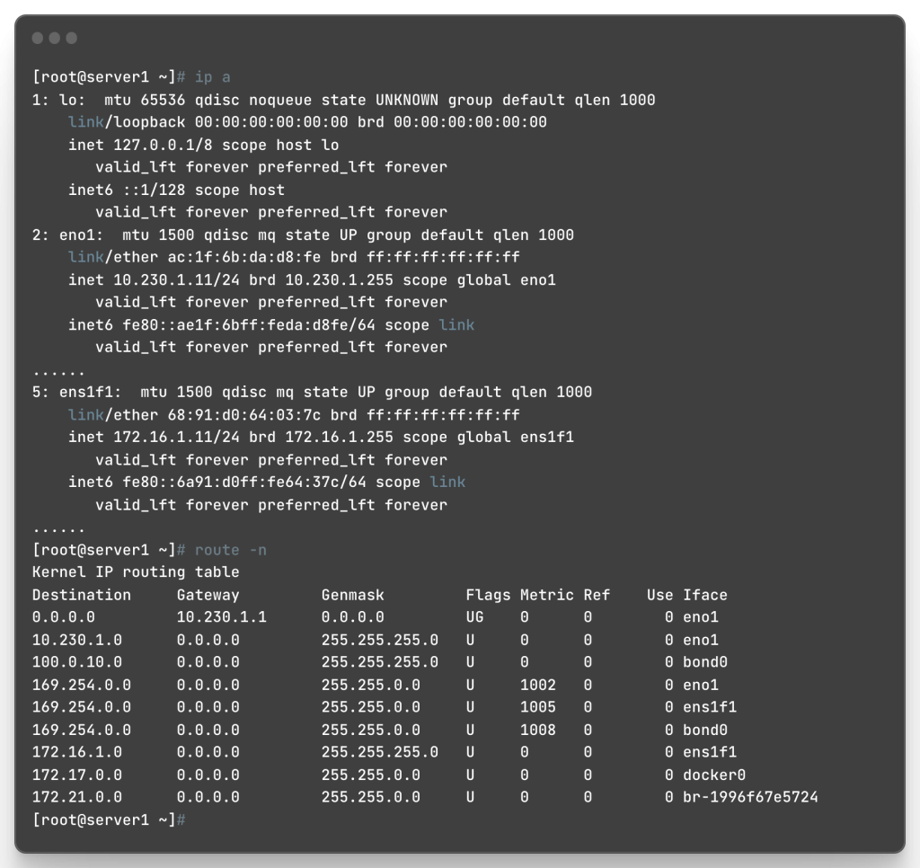 图3：Server1的网络配置