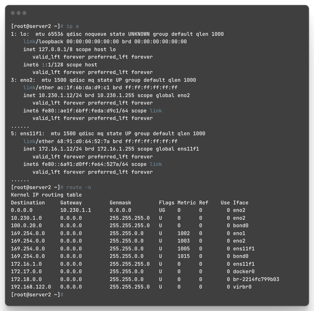 图4：Server2的网络配置