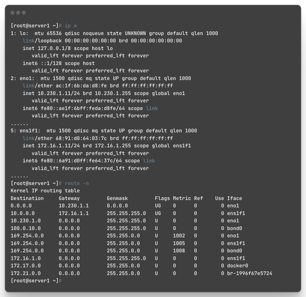 图6：Server1的网络配置