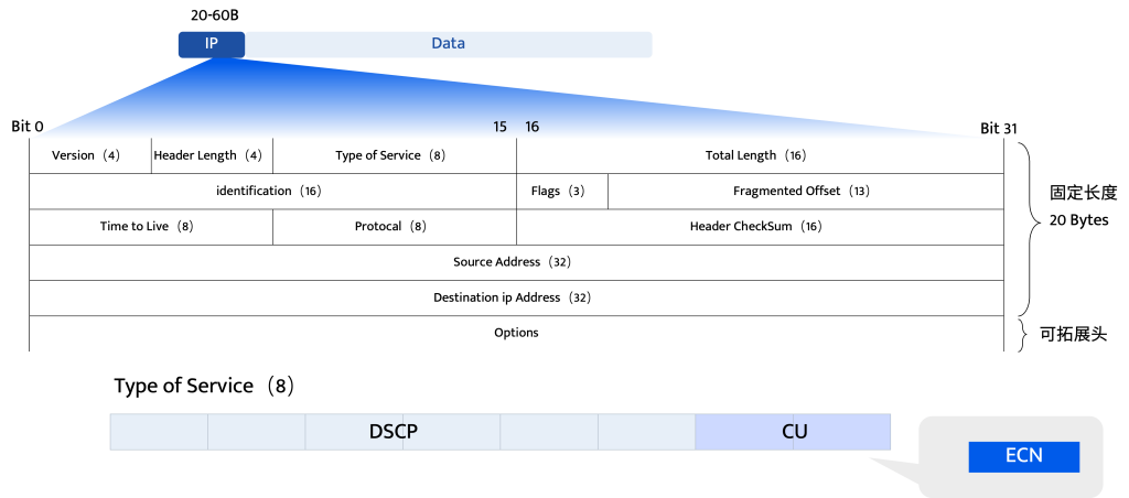 IP