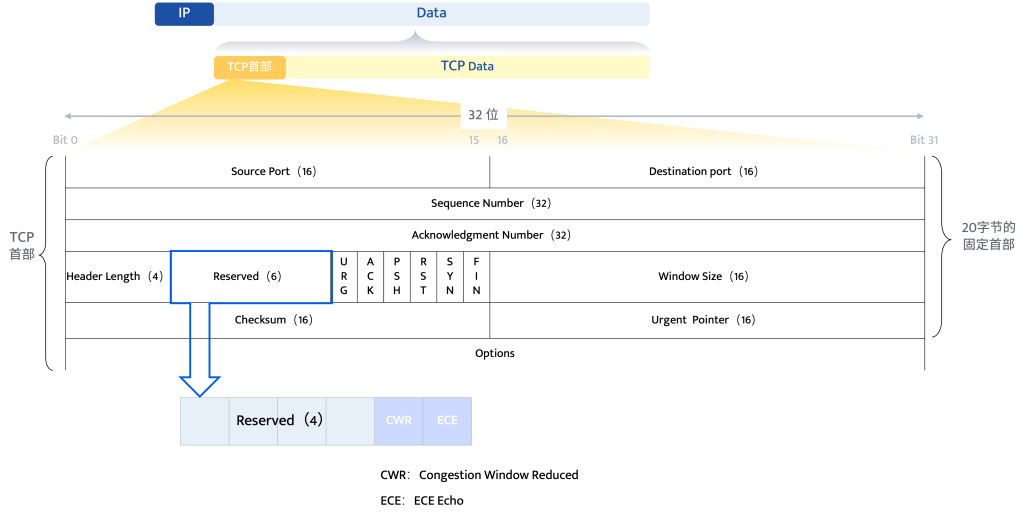 TCP